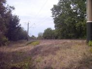 Вільне з panoramio.com - Вольное