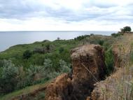 Куликівське з panoramio.com