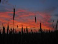 Марківці з panoramio.com