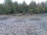 Бондарівка з panoramio.com