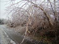 Янишівка з panoramio.com