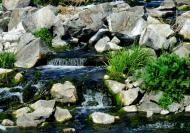 Орлівське з panoramio.com