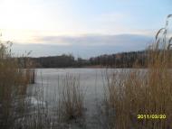 Солоне з panoramio.com