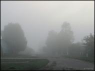 Мохначі з panoramio.com