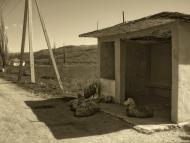 Красна Слобода - Останні фото