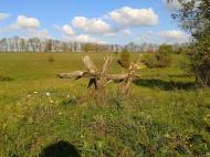 Ручаївка з panoramio.com
