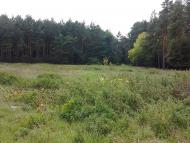 Слоут з panoramio.com