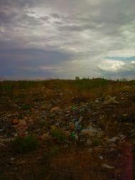 Каштани з panoramio.com