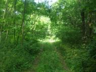 Надеждівка з panoramio.com