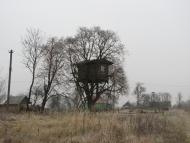 Дальнич - Останні фото