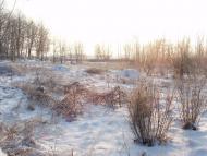 Веселе з panoramio.com