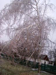 Янишівка з panoramio.com