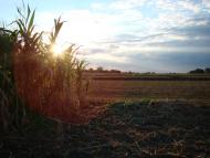 Червона Дача - Останні фото