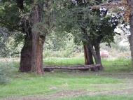 Кринички з panoramio.com