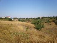 Куликівське з panoramio.com