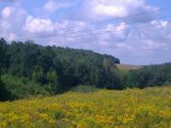 Сатиїв з panoramio.com