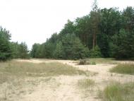 Руська Поляна з panoramio.com