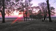Новосілка з panoramio.com