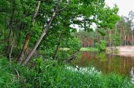 Кремінна з panoramio.com