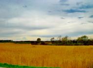 Гребінки з panoramio.com