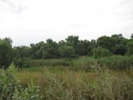 Великий Бурлук з panoramio.com