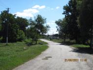 Коричинці з panoramio.com