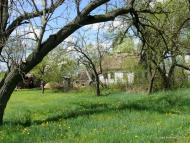 Старі Новаки з panoramio.com