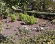 Олександрівка з panoramio.com