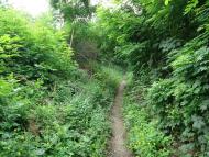 Бобрик Второй - Последние фото