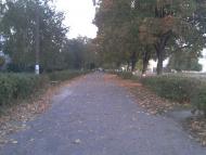 Сокаль з panoramio.com