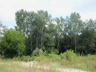 Буланове з panoramio.com