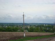 Білка з panoramio.com