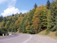 Вишків з panoramio.com