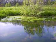 Малі Проходи з panoramio.com