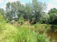 Буланове з panoramio.com