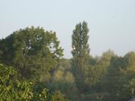 Дружнє з panoramio.com