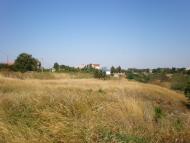 Куликівське з panoramio.com