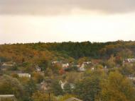 Тараща з panoramio.com