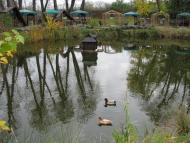 Щасливе з panoramio.com