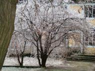 Янишівка з panoramio.com