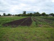 Червона Дача - Останні фото