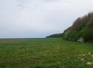 Вільшаниця з panoramio.com