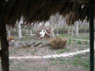 Красноперекопськ з panoramio.com