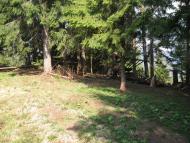 Видричка з panoramio.com