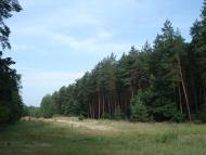 Руська Поляна з panoramio.com