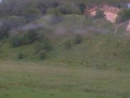 Кораблище з panoramio.com