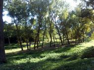 Шебутинці з panoramio.com