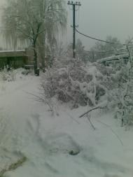 Гожули з panoramio.com