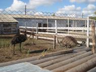 Кременівка - Останні фото