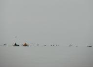 Юр'ївка з panoramio.com